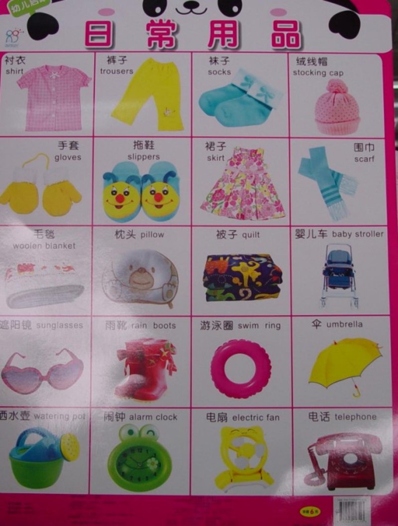 能力培养与测试:五年级语文答案背后的深层含义