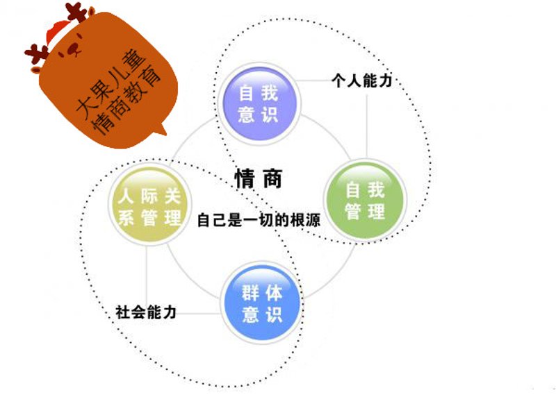 幼儿教育研究:揭示孩子成长的秘密